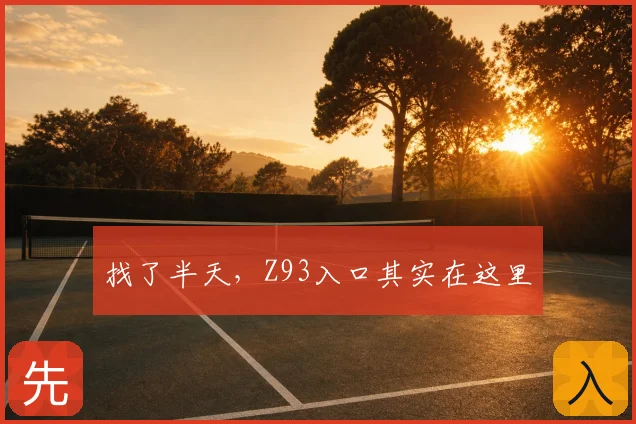 找了半天，Z93入口其实在这里