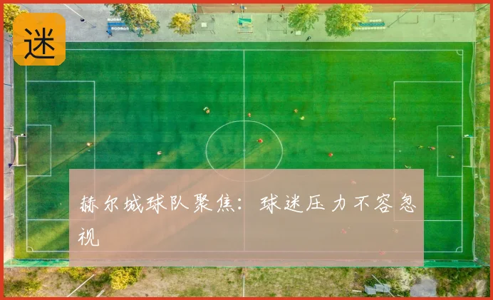 赫尔城球队聚焦：球迷压力不容忽视